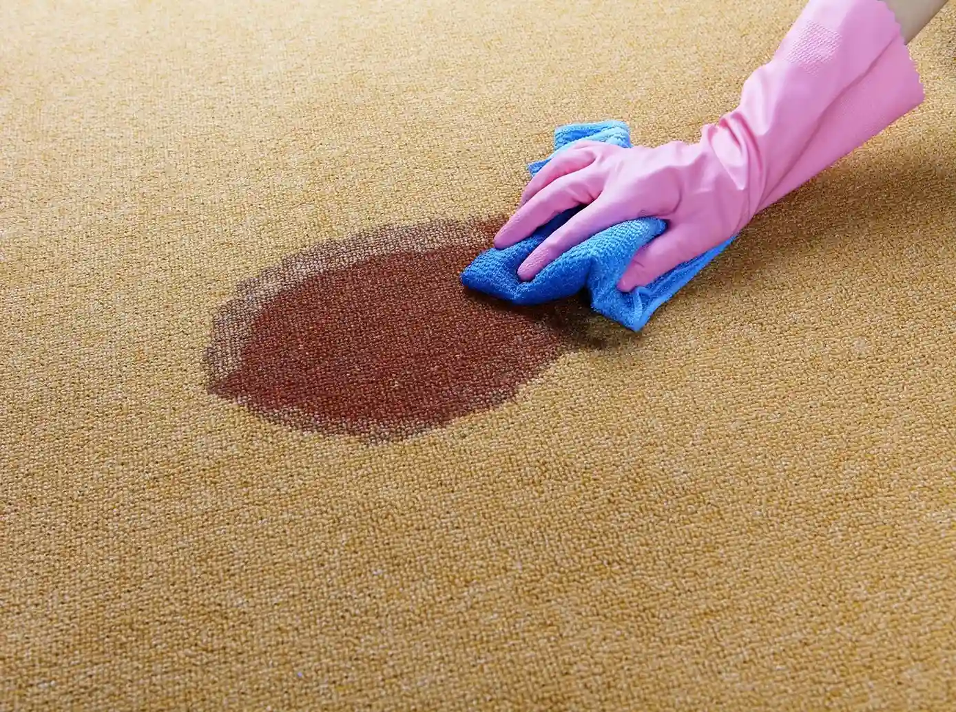 Bleach Carpets Damage