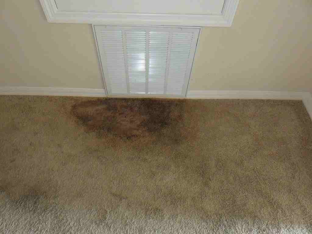 Burn Carpet Damage