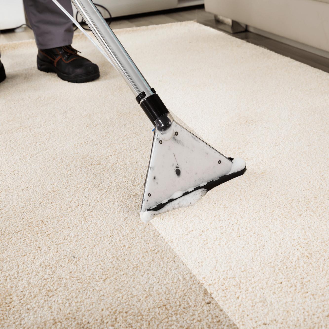 carpet cleaning services