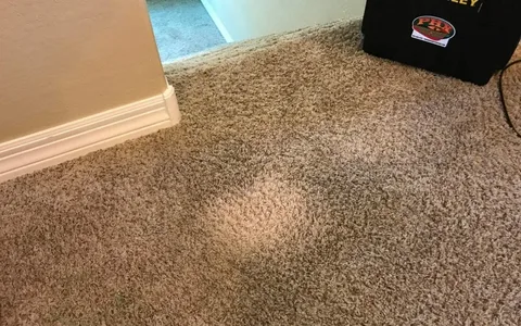 Bleach Damage Carpet Repair